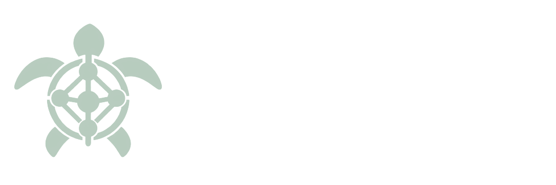 Kumu Noa